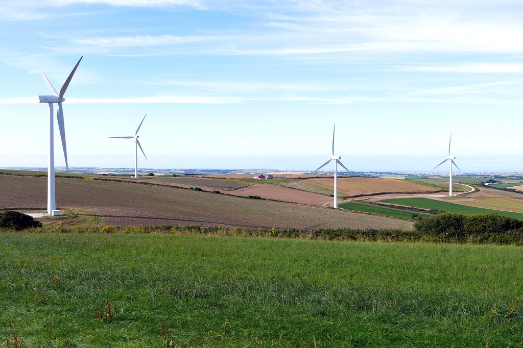 Solar panels and wind turbines in sunrise