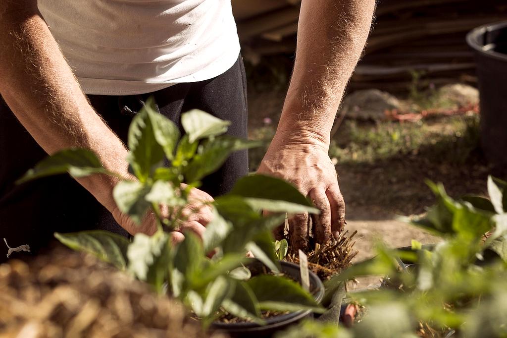 Environmental and social impact concept